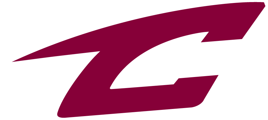 Canton Charge 2010-Pres Alternate Logo v2 iron on transfers for T-shirts